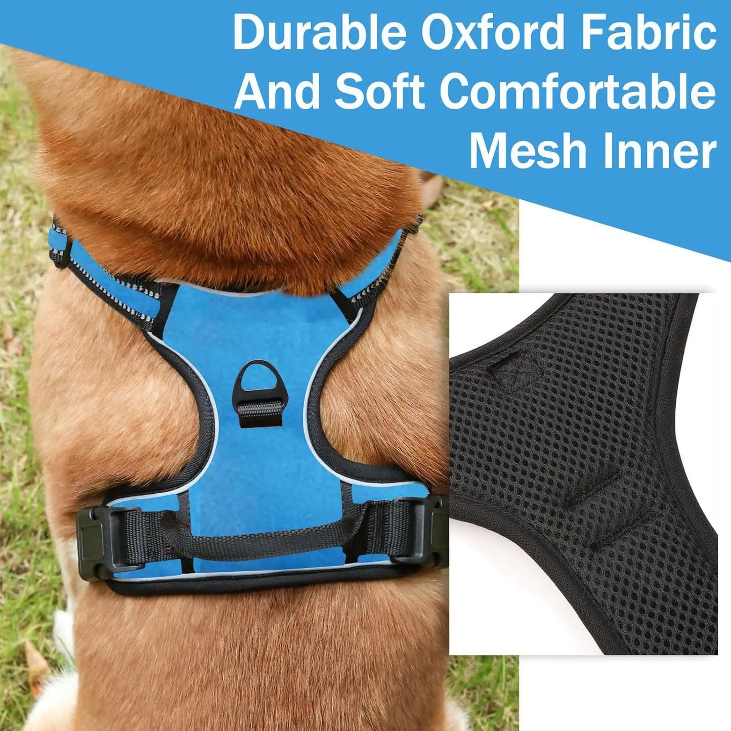 Harnais de Poitrine Sans Traction Rembourré pour Chien Moyen