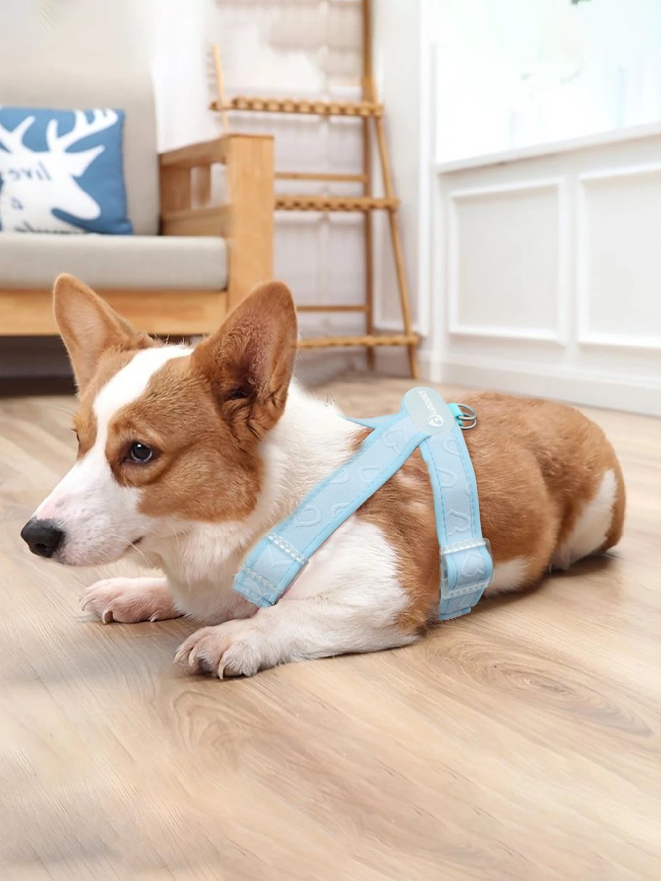 Gilet Nylon Sans Traction pour Petit Chien - Léger et Confortable