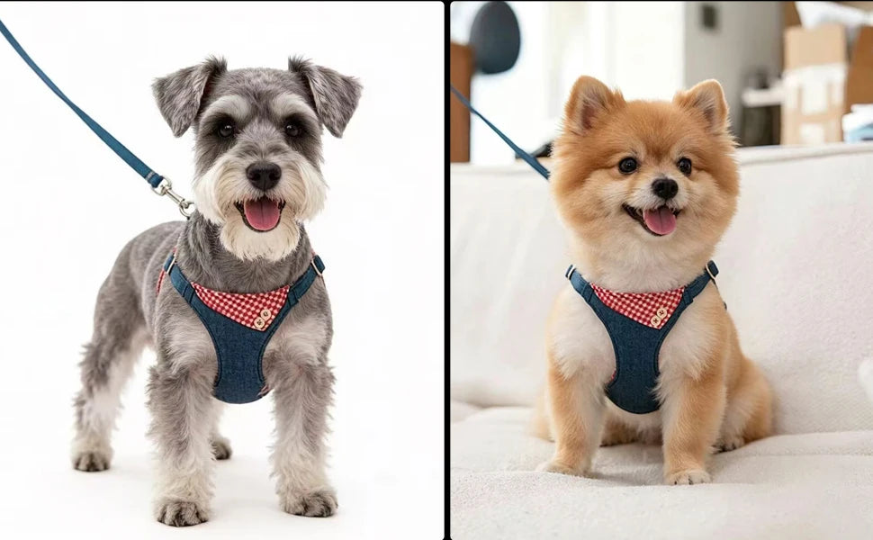 Ensemble Harnais et Laisse en Jean pour Chien - Anti-Traction, Coton