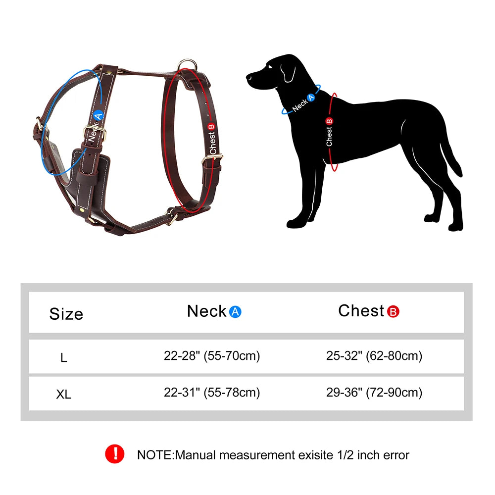 Harnais en Cuir Véritable pour Grand Chien - Poignée Réglable