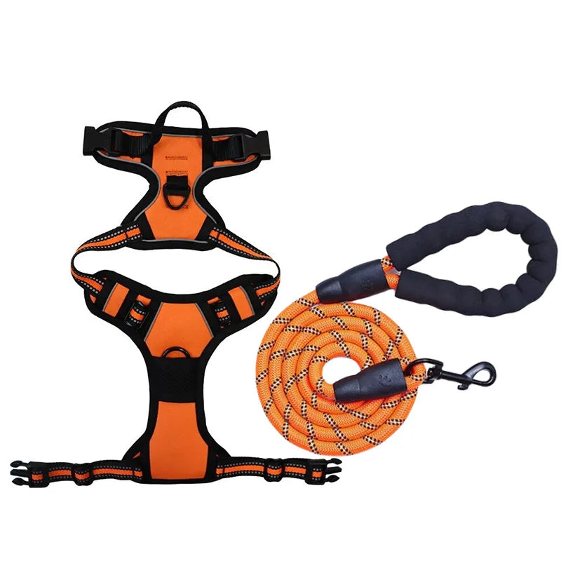 Harnais et Laisse Corde Nylon pour Grand Chien
