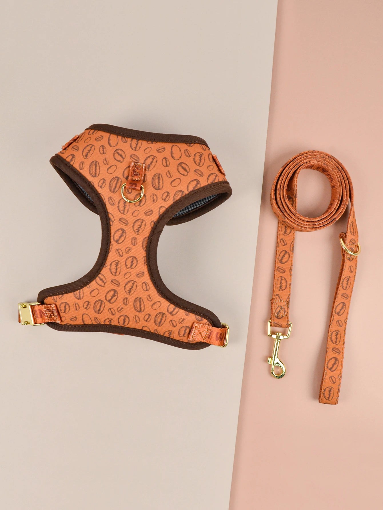 Harnais de Luxe Cadeau pour Chien - Design Mignon, avec Laisse