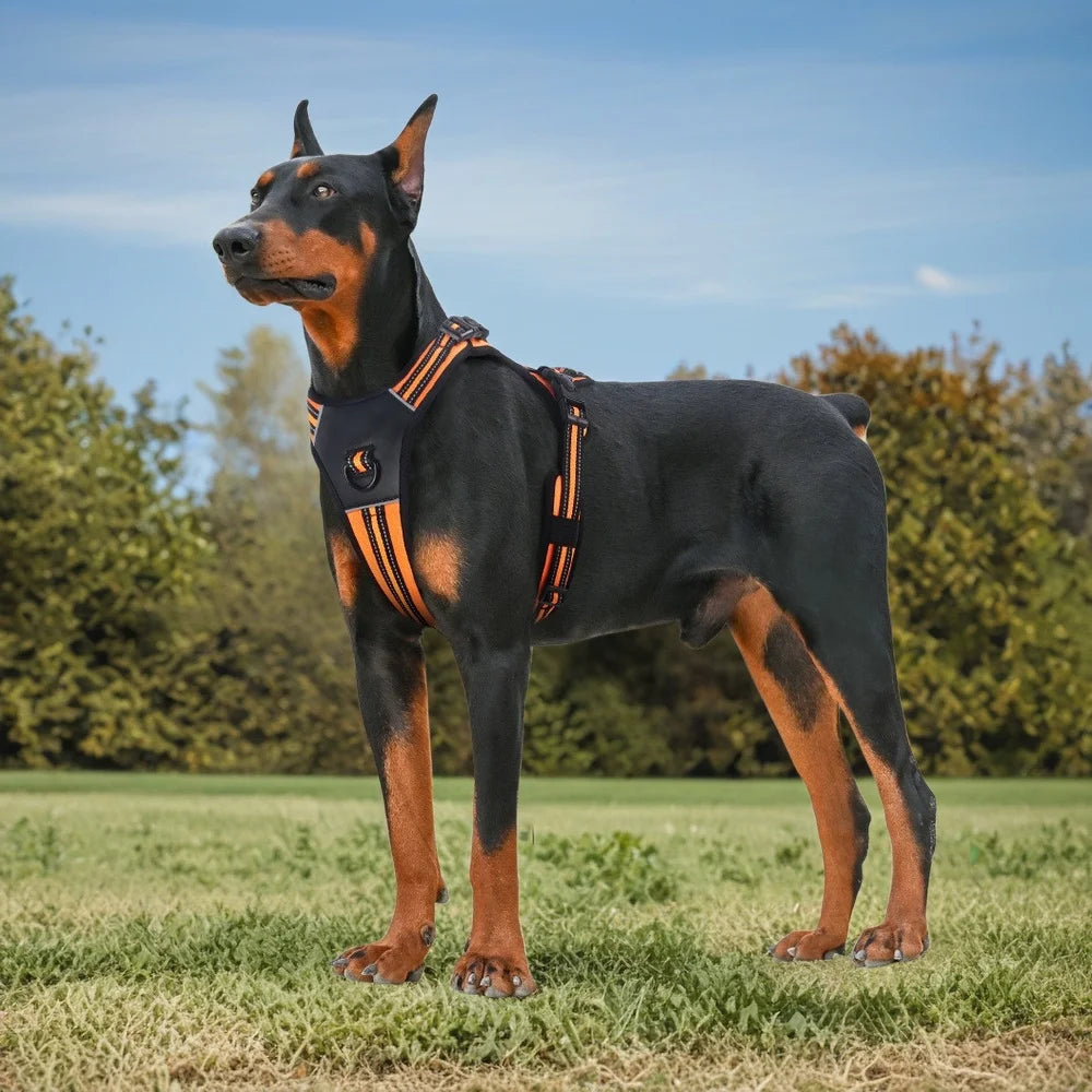 Harnais Anti-Traction Rembourré pour Chien - Poignée, Réfléchissant