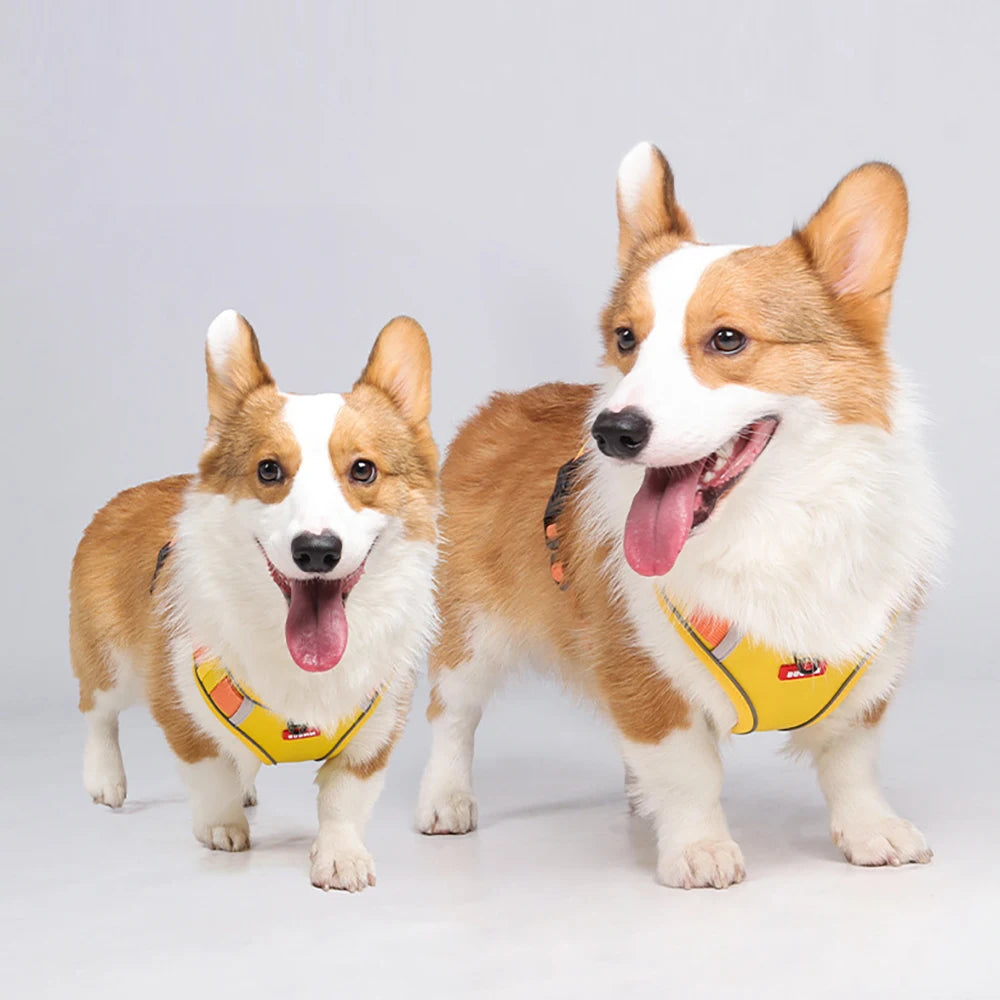 Harnais Oxford Sans Étranglement pour Chien - Réglable, Réfléchissant