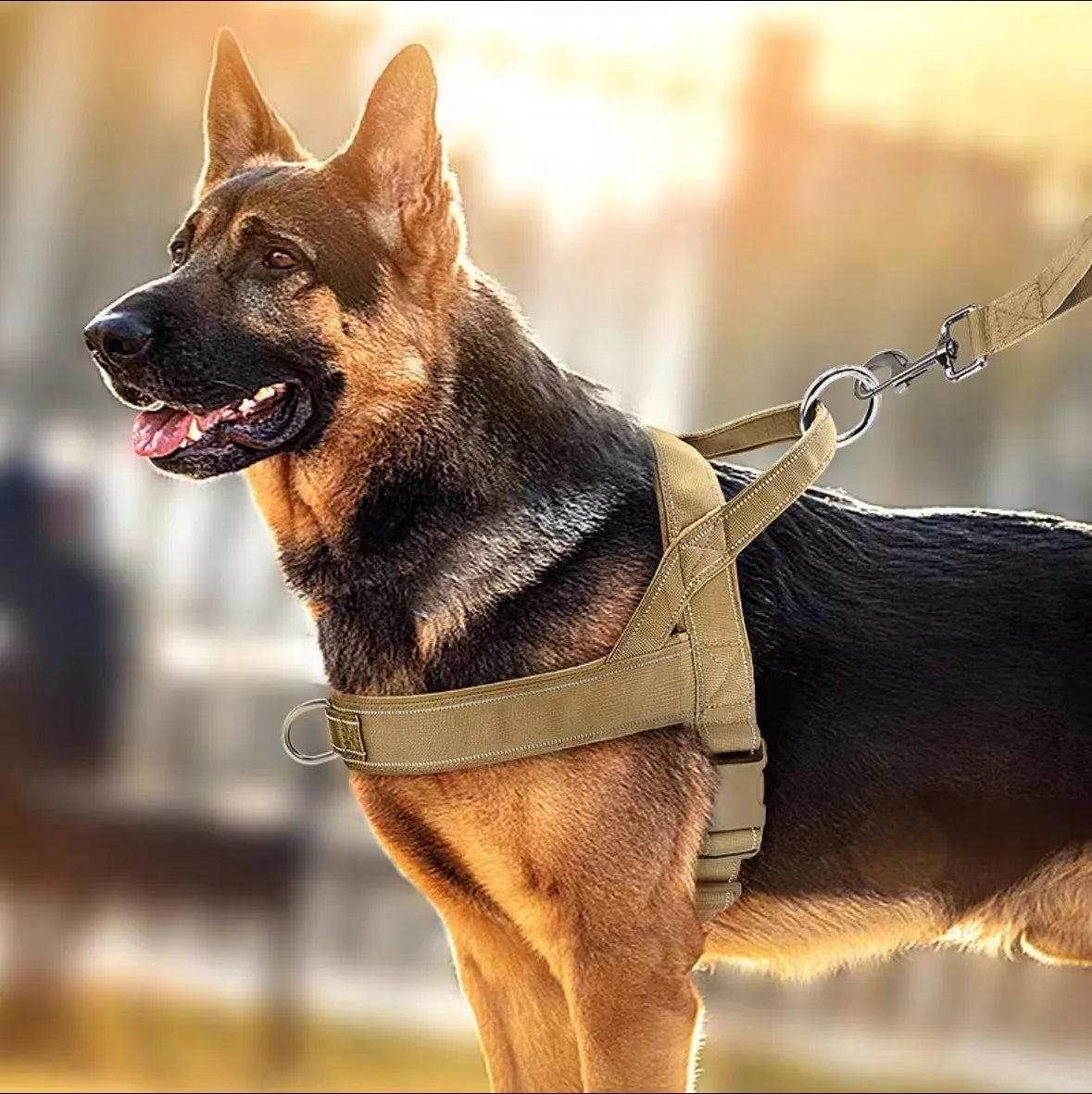 Harnais Tactique Durable pour Grand Chien - Style Gilet