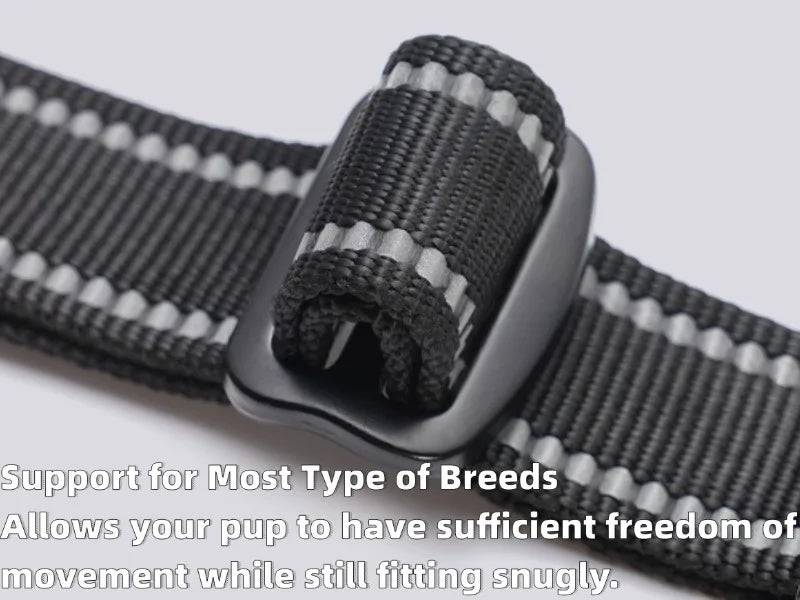 Harnais et Laisse Corde Nylon pour Grand Chien
