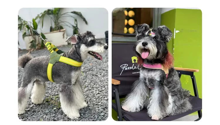 Harnais Effet Cuir Rembourré pour Chien Moyen/Grand - Dégagement Rapide