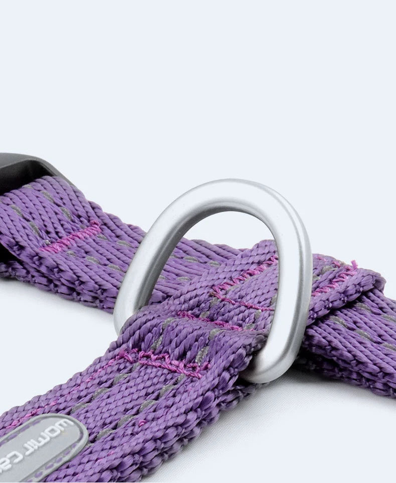 Harnais Anti-Évasion Type H pour Chien - Lavable, Réglable