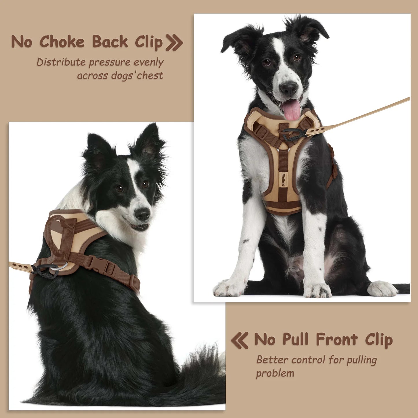 Harnais de Luxe Couleur Chocolat Anti-Traction pour Chien - Personnalisé
