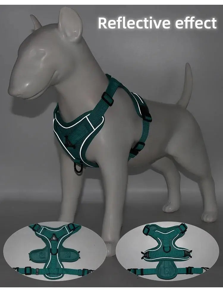 Ensemble Harnais et Laisse Anti-Traction pour Petit Chien et Chat - Réfléchissant