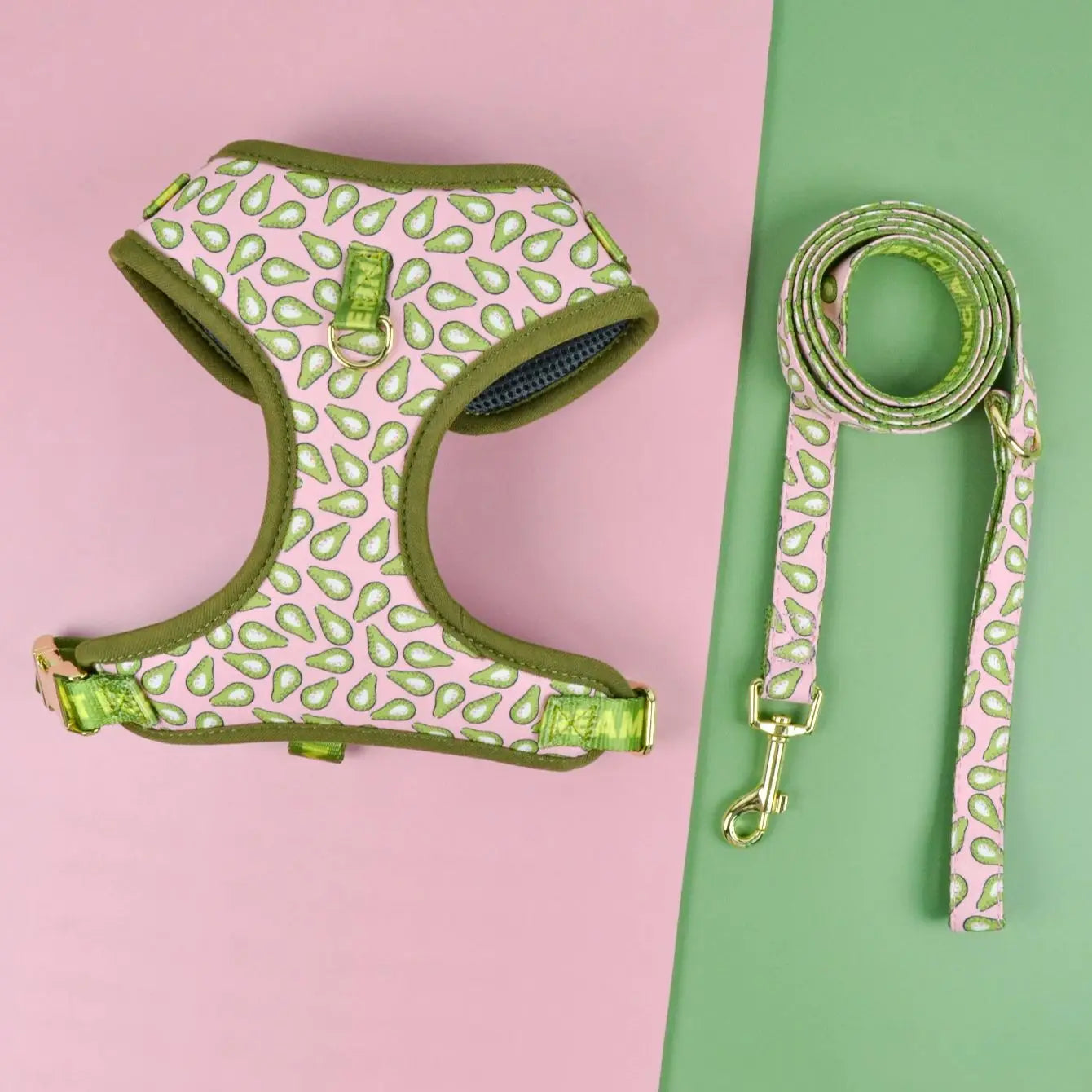 Harnais de Luxe pour Chien - Design Mignon, avec Laisse