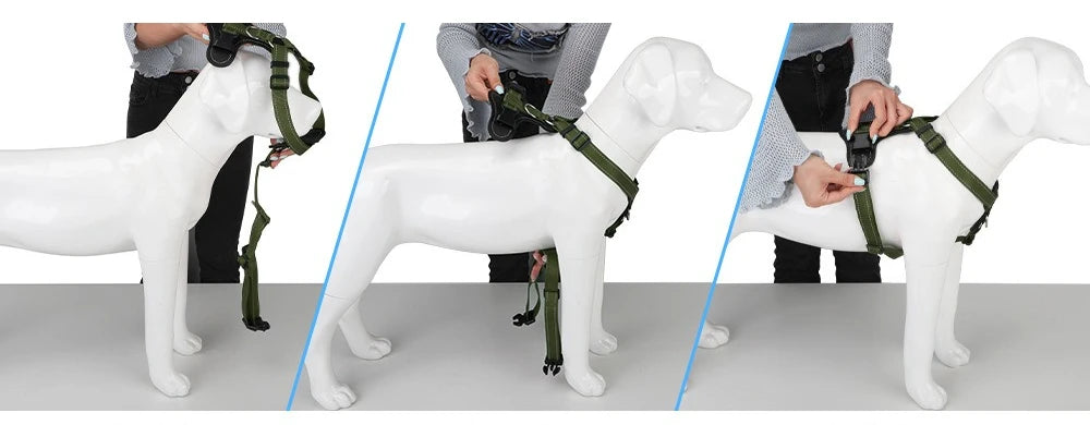 Harnais en Cuir pour Chien - Style Gilet, avec Collier et Laisse