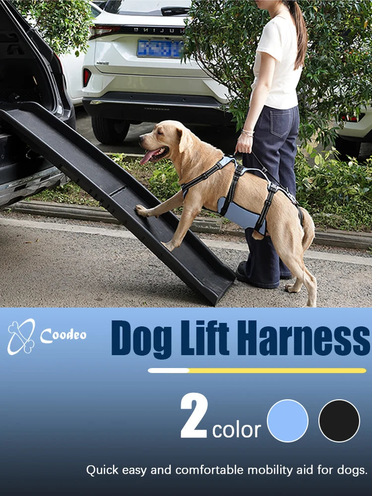 Harnais de Levage COODEO pour Chien - Rééducation, Sangles Réglables