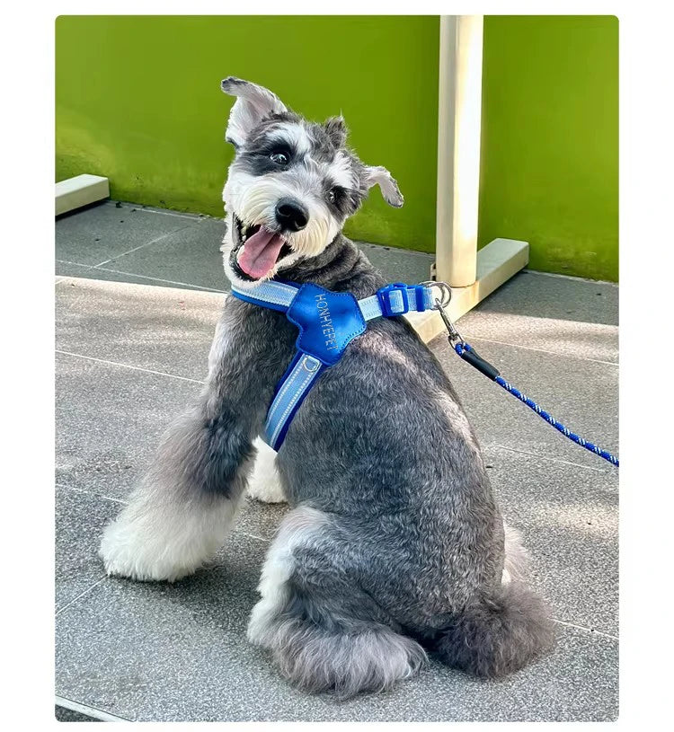 Harnais en Forme de Y Anti-Traction pour Chien - Toutes Tailles