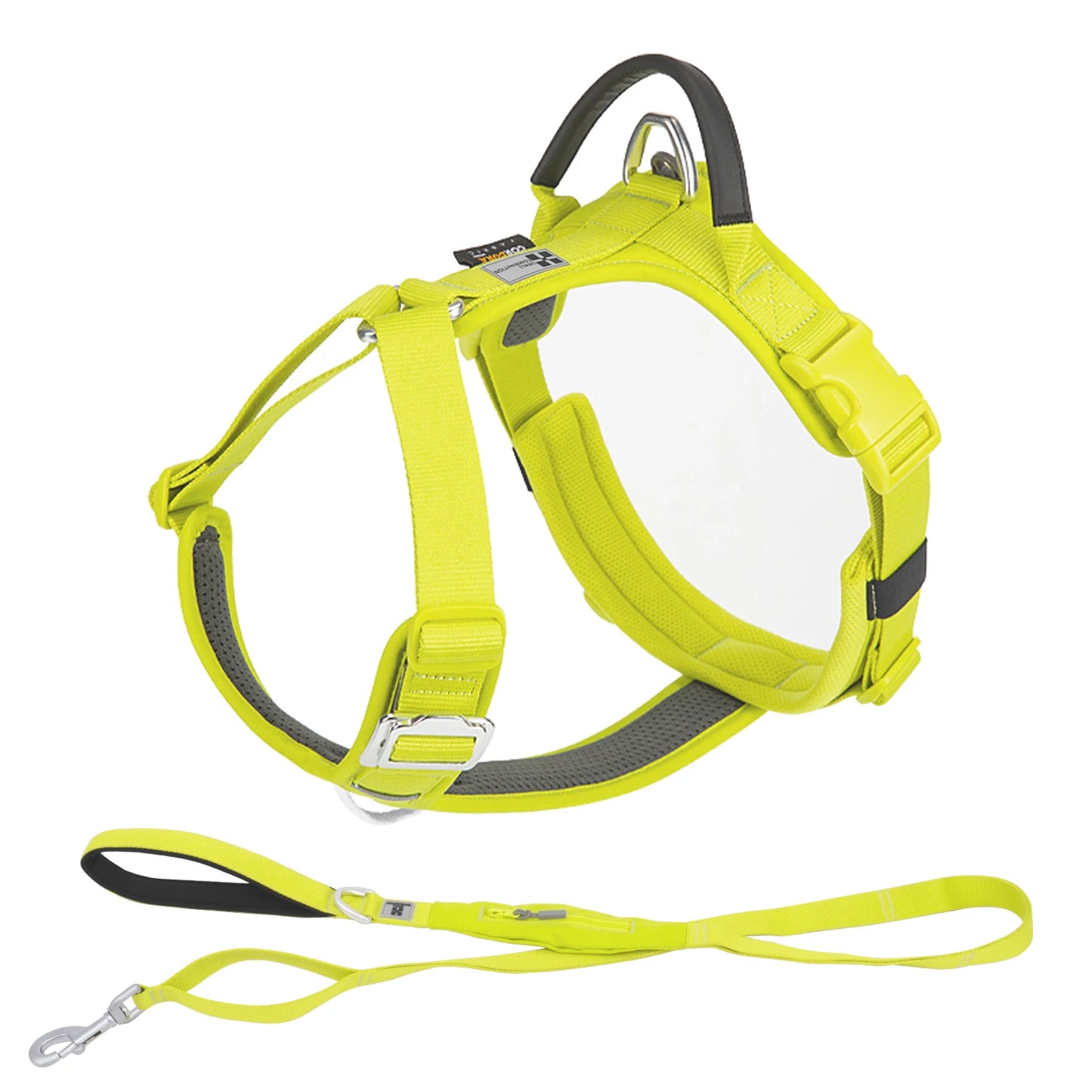 Ensemble Harnais et Laisse Anti-Traction pour Grand Chien