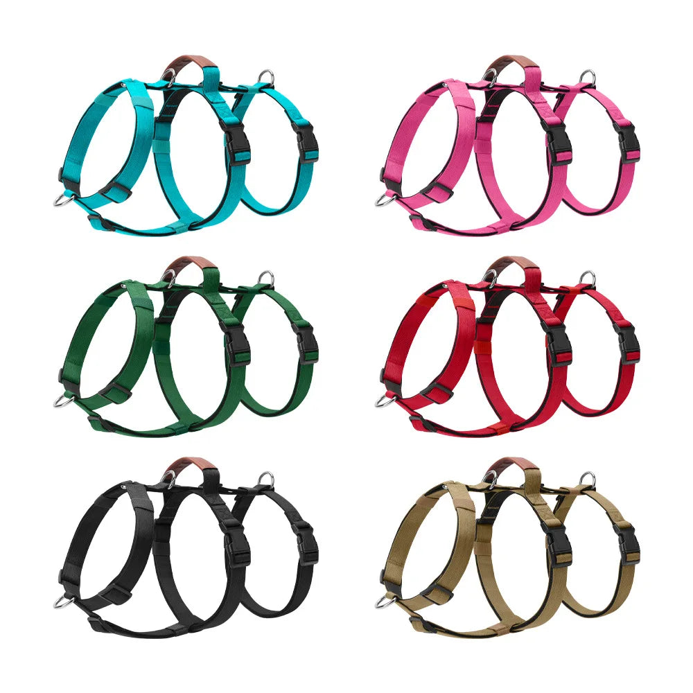 Harnais Anti-Traction Nylon pour Grand Chien - Entraînement