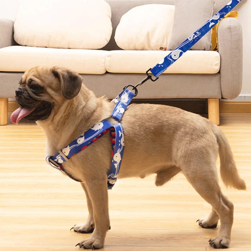 Ensemble Trois Pièces Abstrait pour Chien - Harnais, Laisse, Collier
