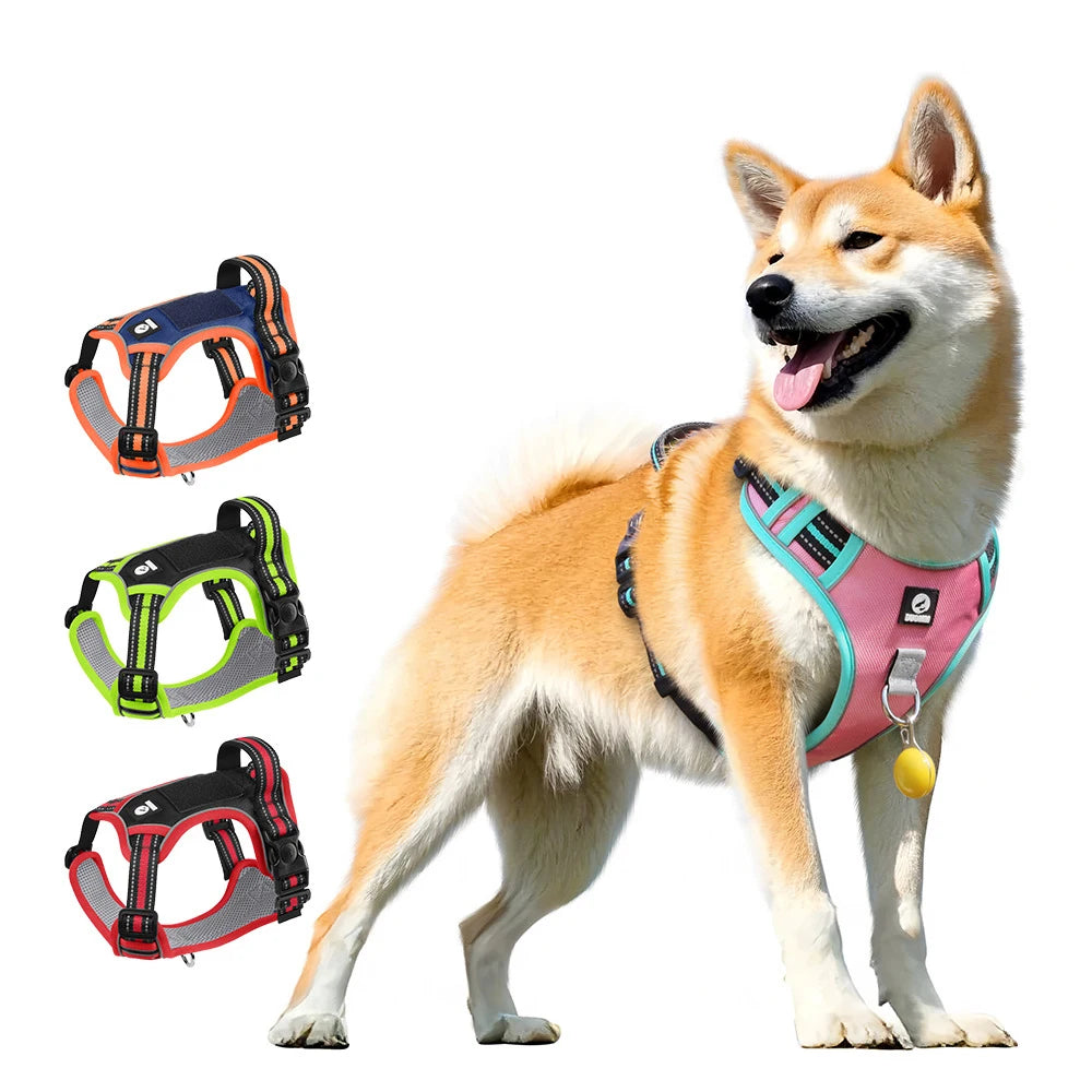 Harnais Oxford Anti-Évasion Réfléchissant pour Grand Chien - avec Collier