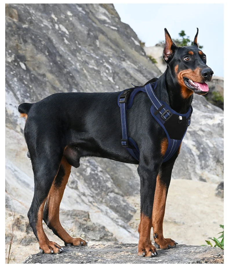 Harnais Multifonction en Nylon pour Chien - Toutes Tailles