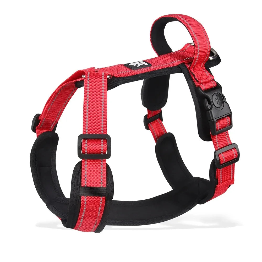 Ensemble Harnais, Laisse et Collier Classique pour Chien