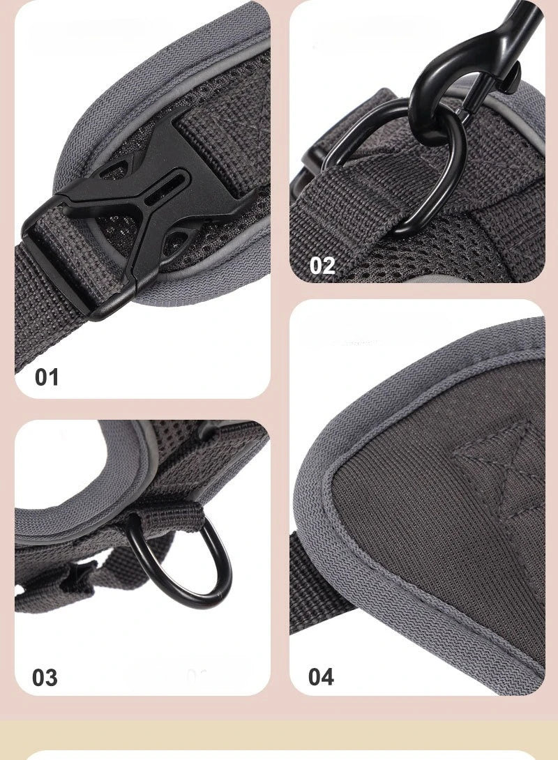 Ensemble Harnais et Laisse Sans Traction pour Petit Chien et Chat