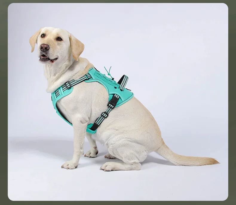 Harnais Tactique Militaire Rembourré pour Chien - Réfléchissant