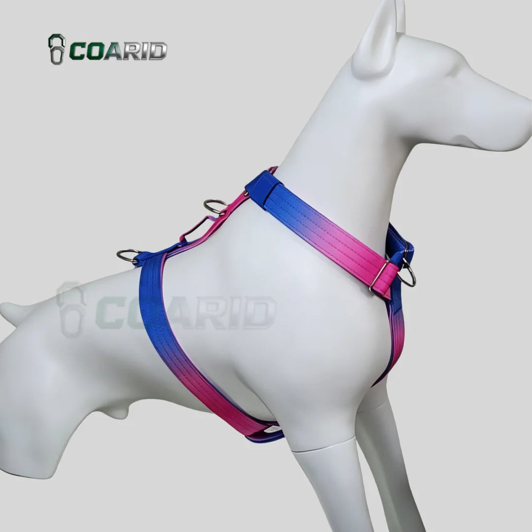 Harnais Anti-Traction Dégradé pour Grand Chien - Doubles Anneaux D
