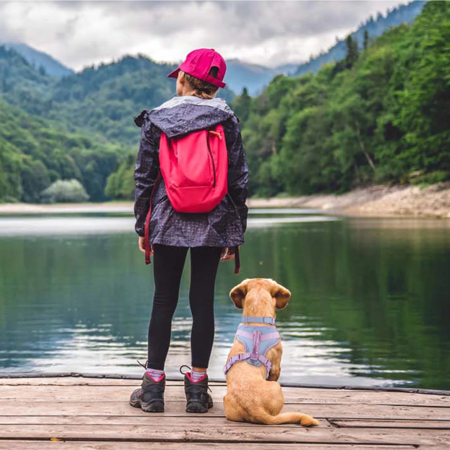 Harnais de Luxe Moyen Anti-Traction pour Chien - Personnalisé