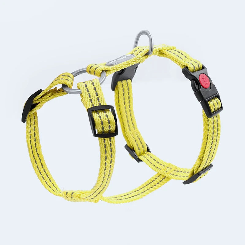 Harnais Anti-Évasion Type H pour Chien - Lavable, Réglable