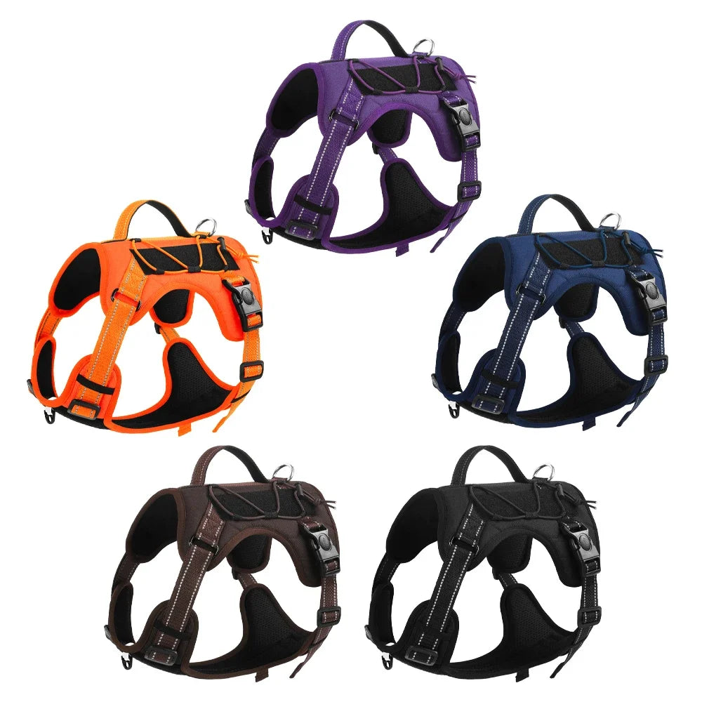 Harnais Multifonction en Nylon pour Chien - Toutes Tailles