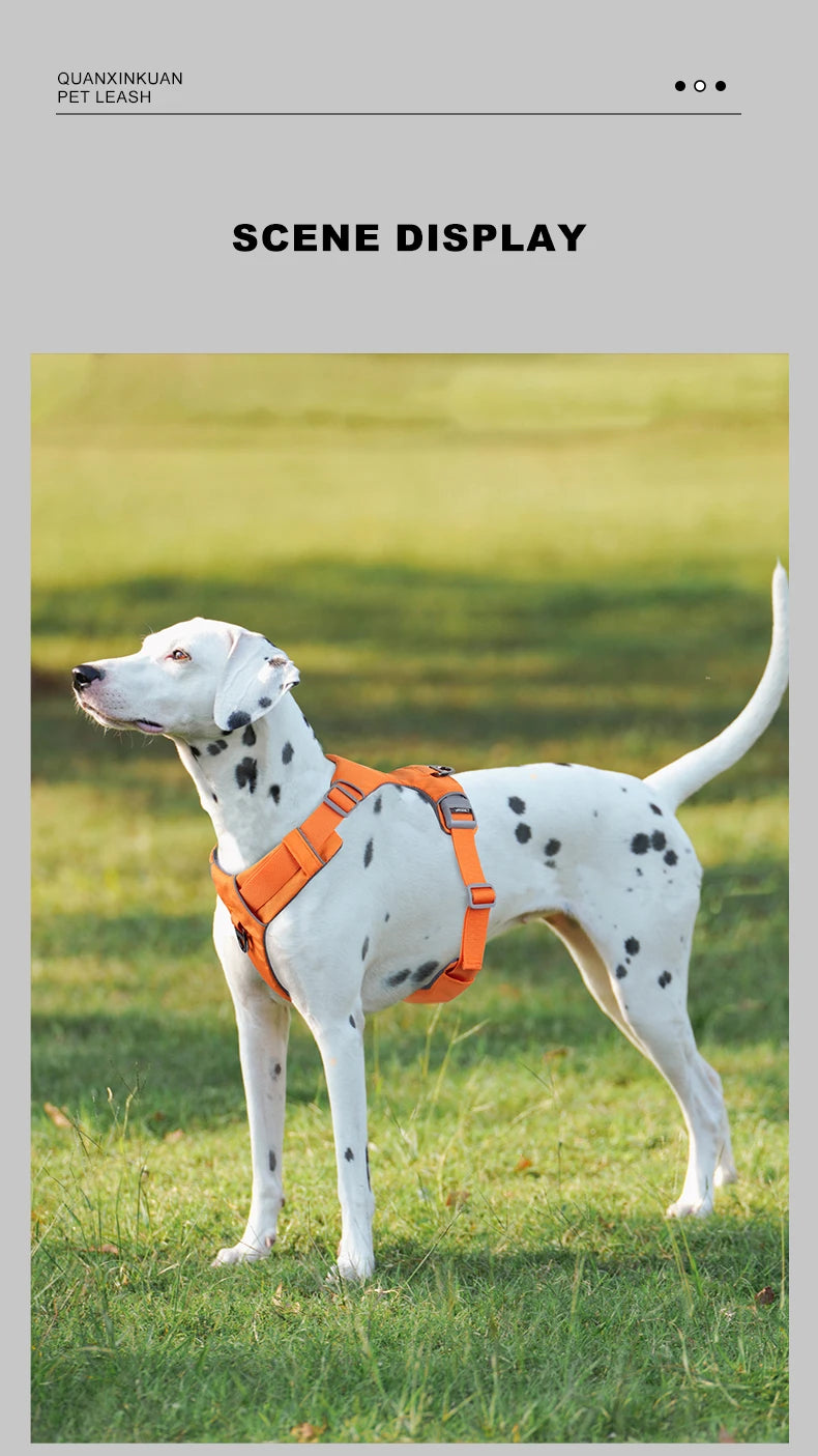 Harnais de Sécurité Anti-Traction pour Chien - Solide et Réglable