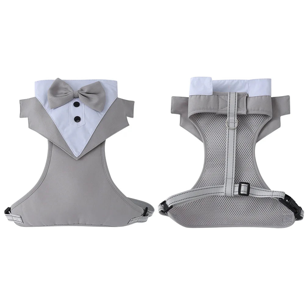 Harnais avec Nœud Papillon pour Petit et Moyen Chien - Anti-Traction