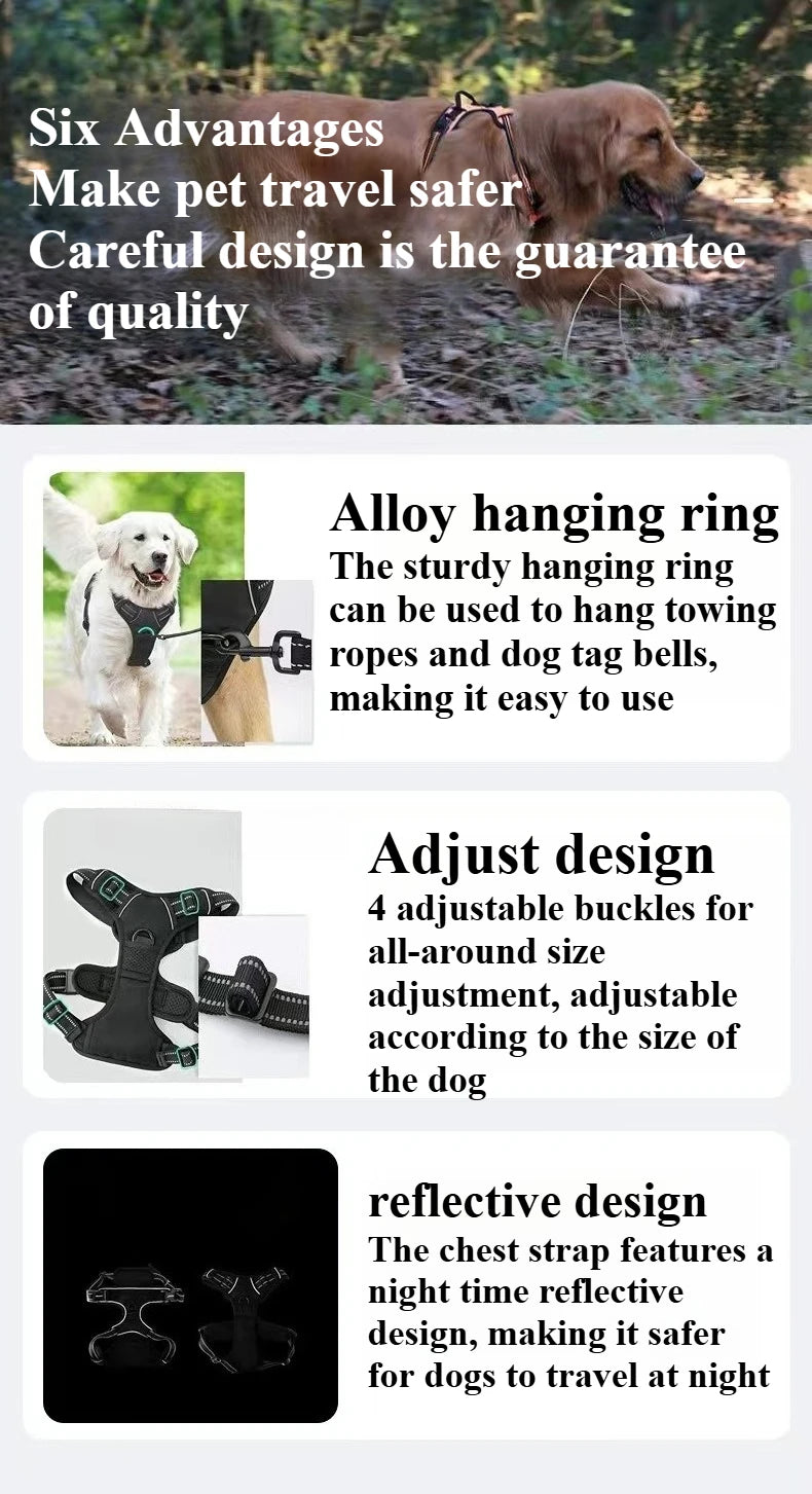 Ensemble Harnais et Laisse Réfléchissants pour Grand Chien