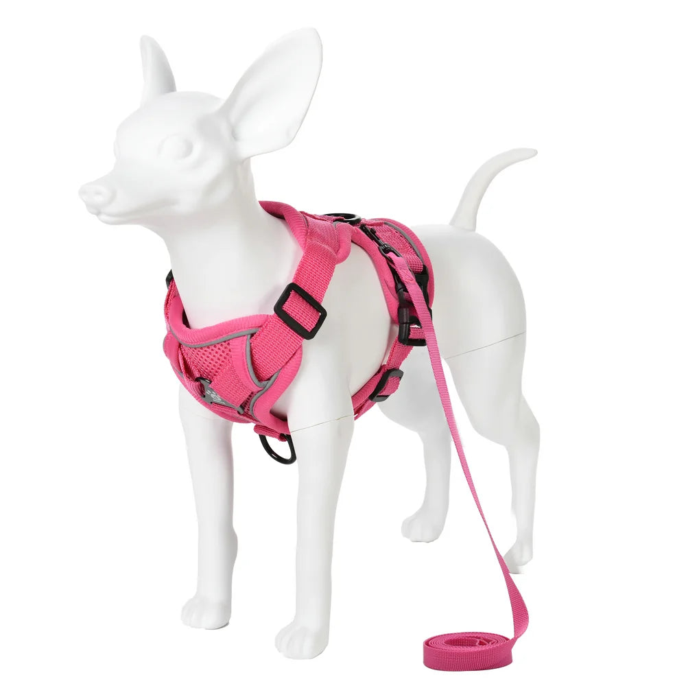 Ensemble Harnais et Laisse pour Petit Chien - Réfléchissant