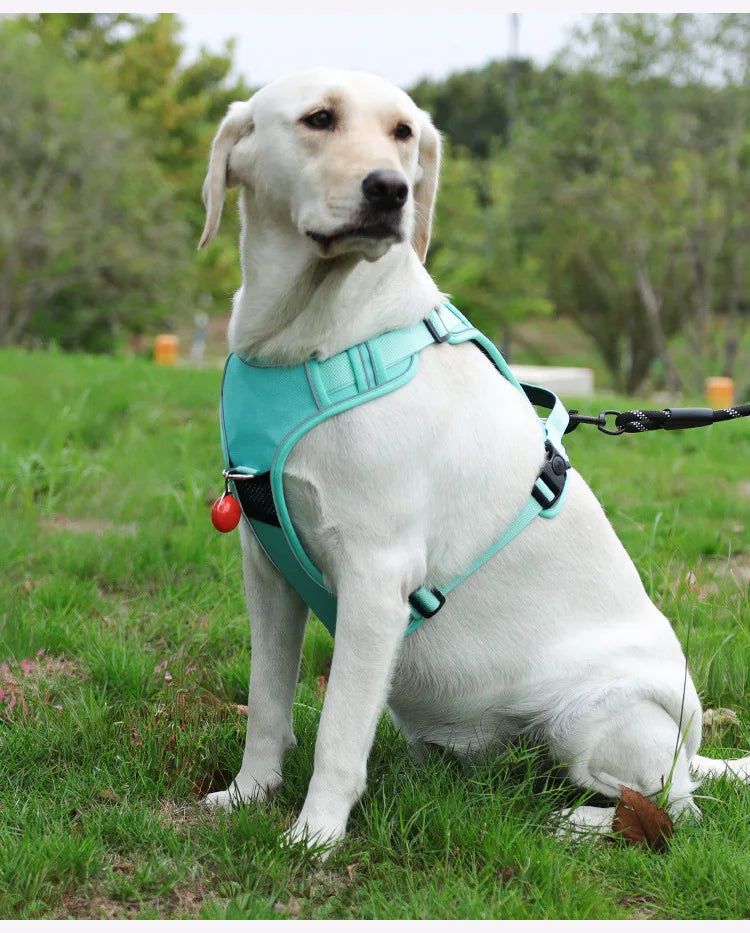 Harnais Compatible AirTag pour Petit Chien - Anti-Perte