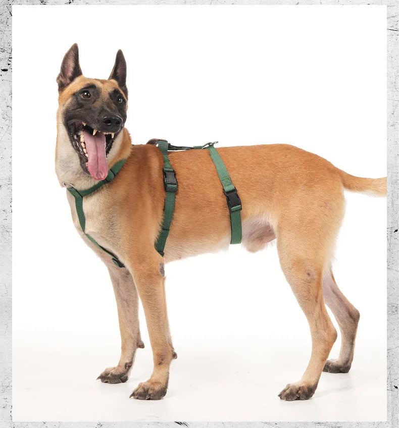 Harnais Anti-Fuite en Nylon avec Poignée pour Golden Retriever, Husky