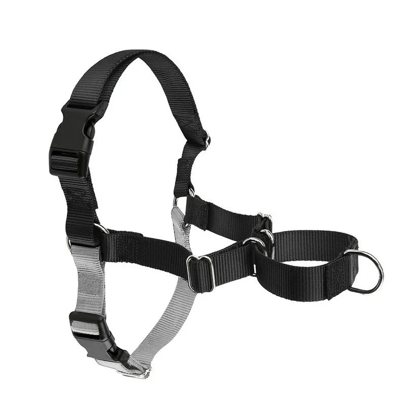 Harnais Anti-Rupture en Nylon Solide pour Chien Moyen/Grand - Husky