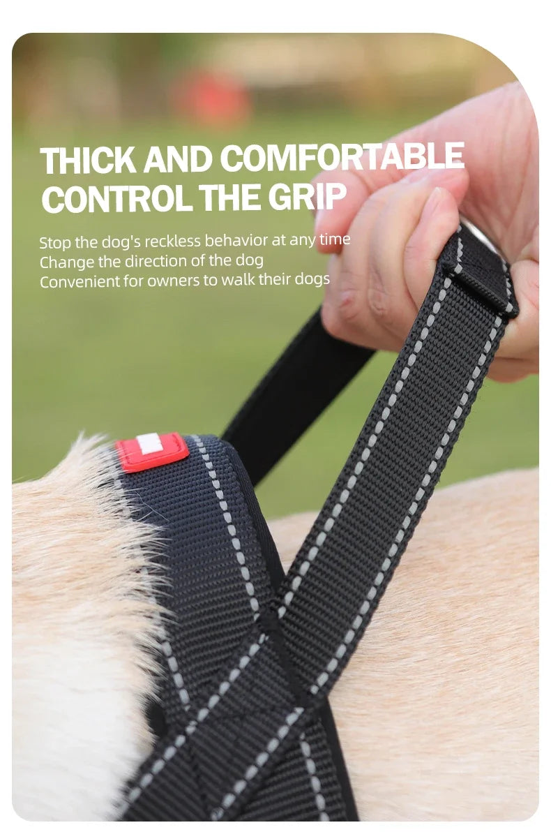 Harnais Gilet de Selle Léger et Réfléchissant pour Chien