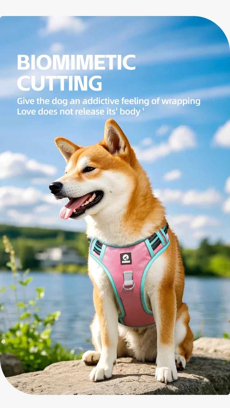 Harnais Oxford Anti-Évasion Réfléchissant pour Grand Chien - avec Collier