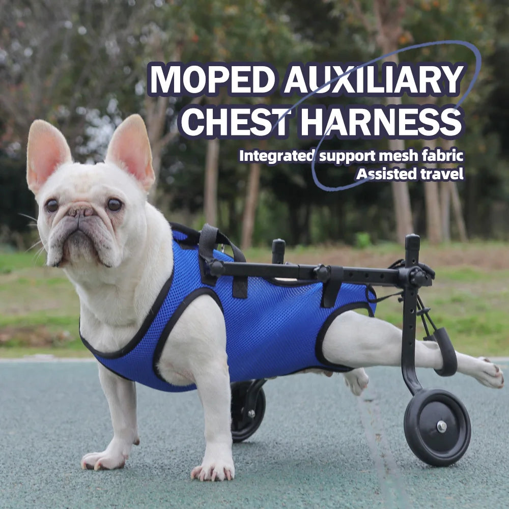 Harnais de Soutien Mobilité Réduite pour Chien - Rééducation
