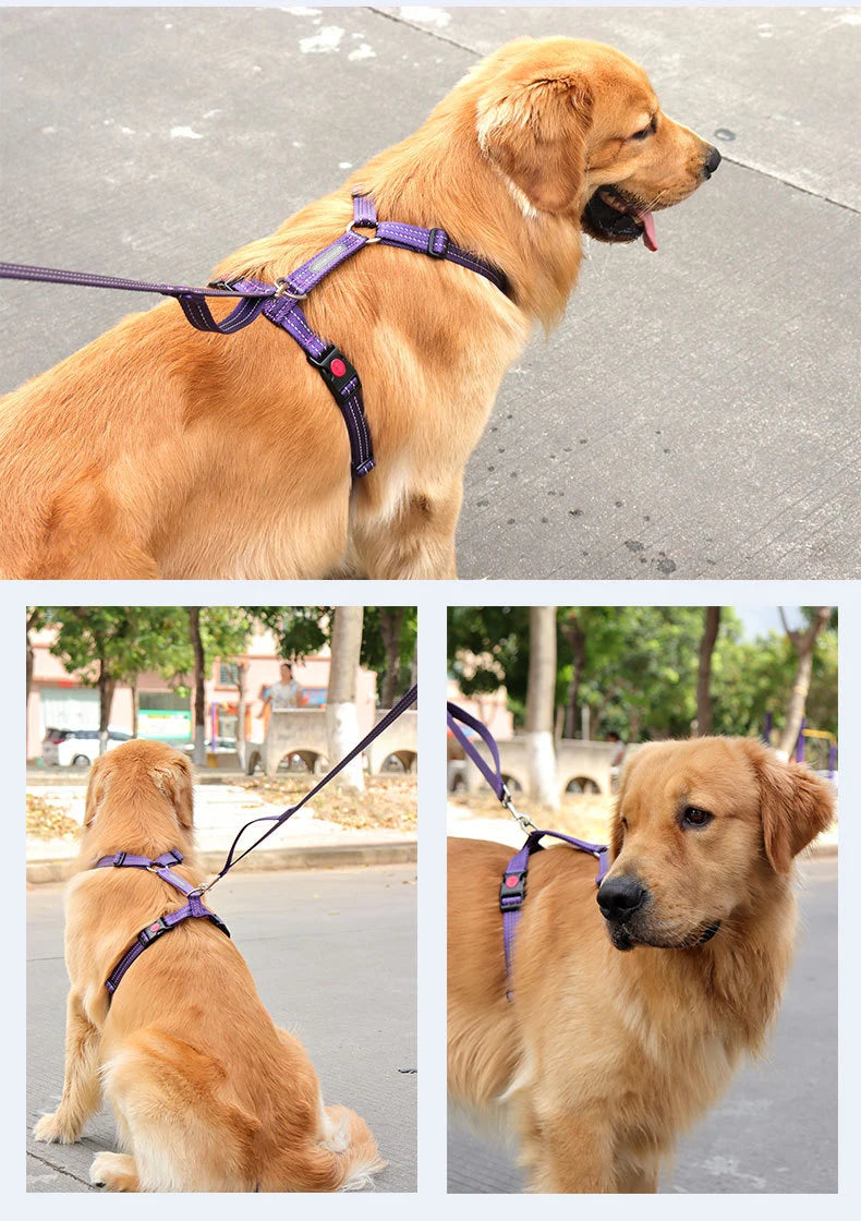 Harnais Anti-Évasion Type H pour Chien - Lavable, Réglable