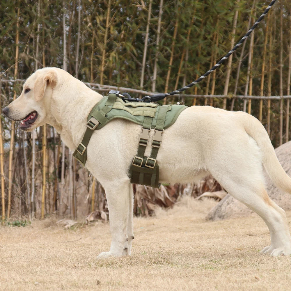 Harnais Gilet Tactique pour Grand Chien - Entraînement et Garde
