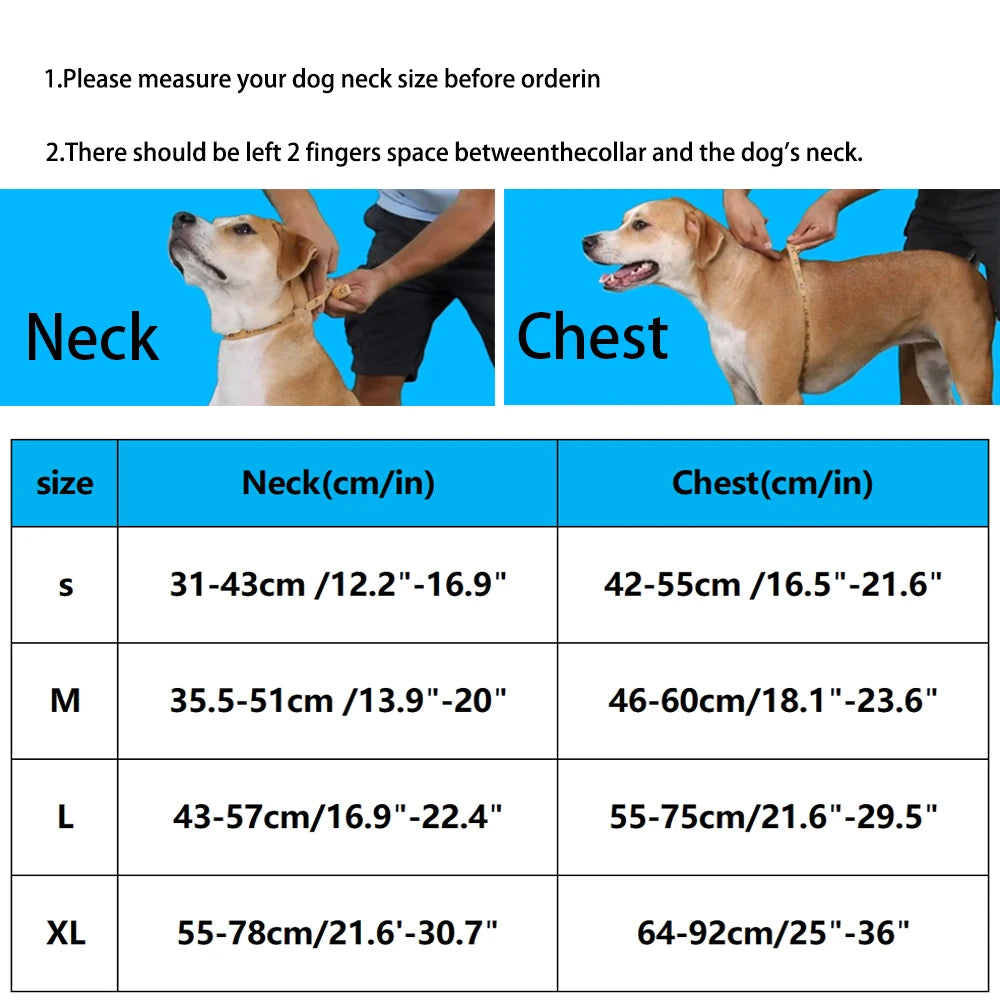 Harnais Personnalisable Anti-Traction pour Chien - Contrasté
