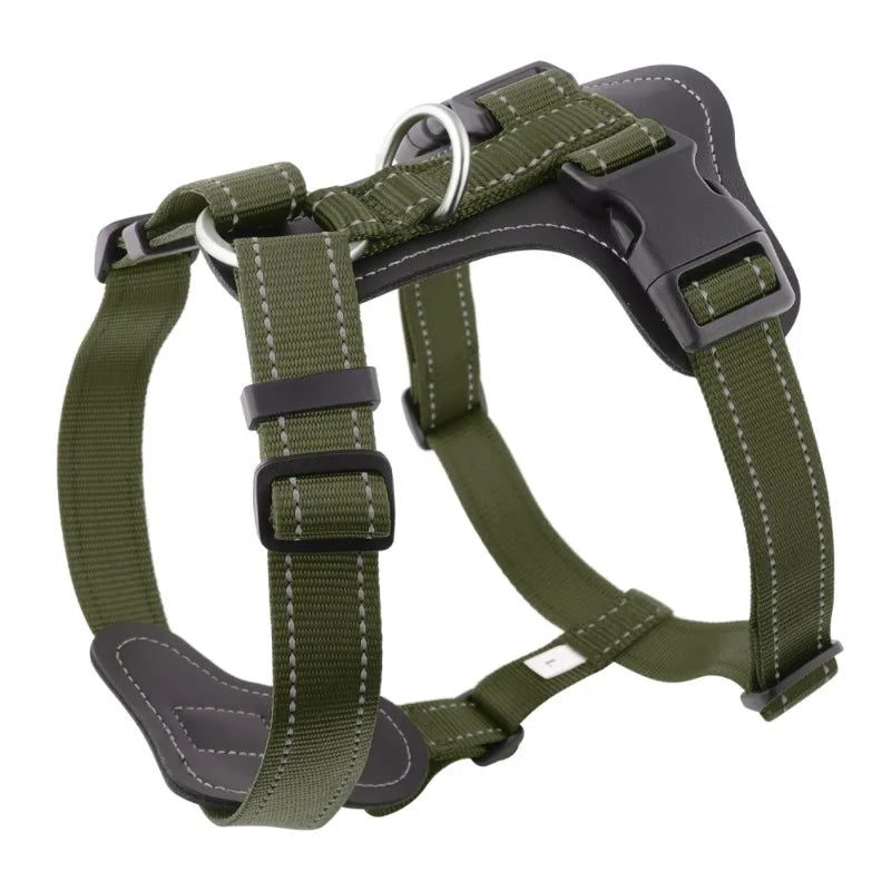 Harnais en Cuir pour Chien - Style Gilet, avec Collier et Laisse
