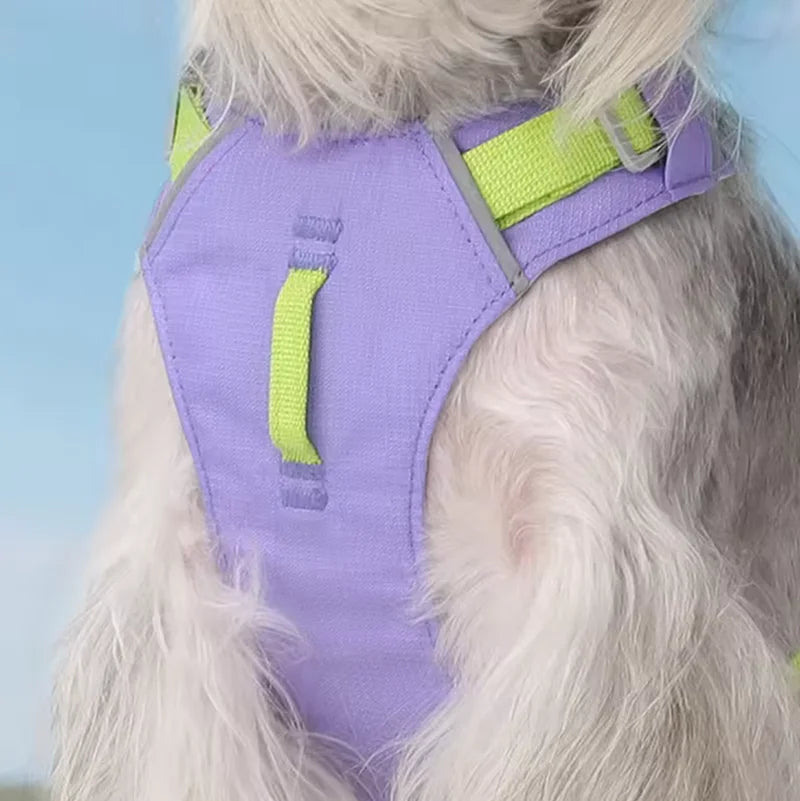 Harnais Léger Réfléchissant pour Chien et Chat - Sans Traction