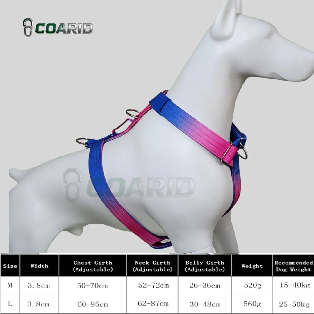 Harnais Anti-Traction Dégradé pour Grand Chien - Doubles Anneaux D