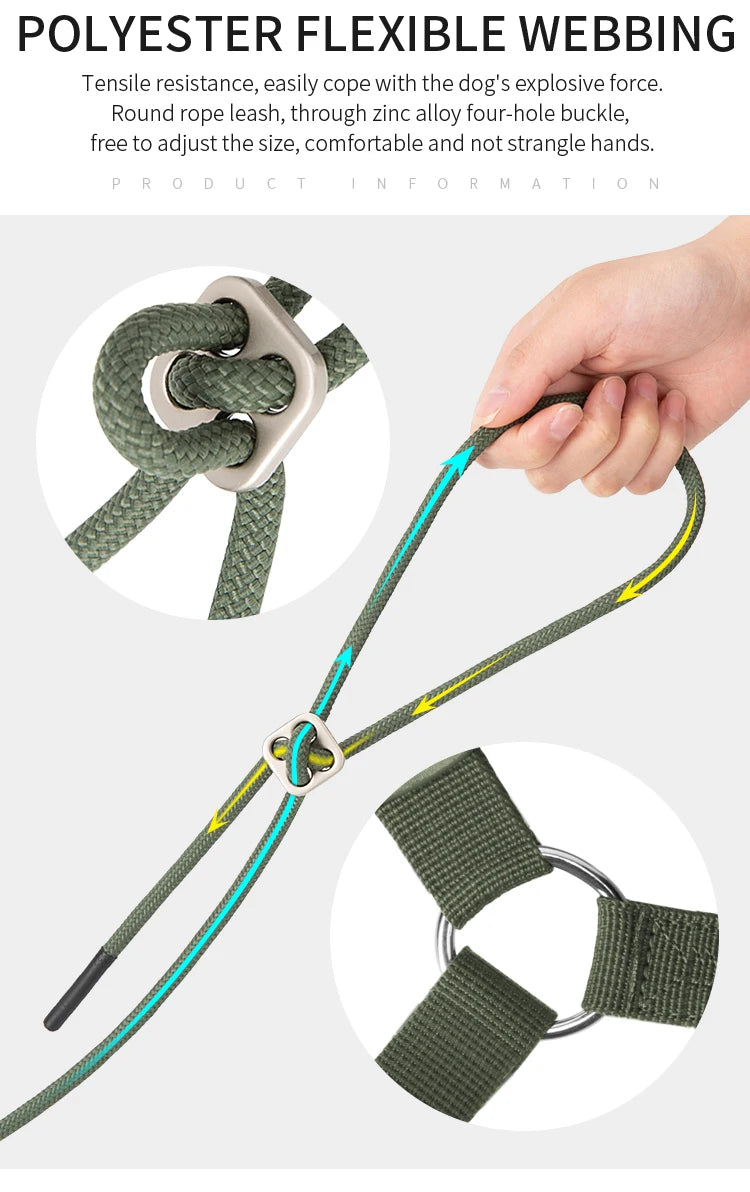 Ensemble Harnais et Laisse Réglable pour Chat et Petit Chien