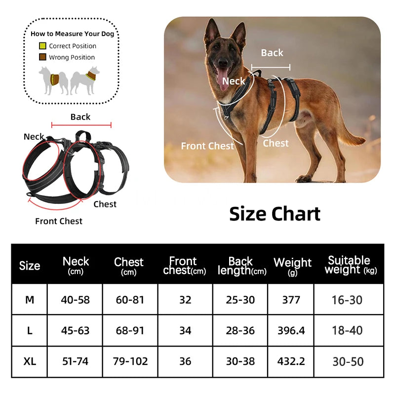 Harnais Robuste Rembourré Anti-Traction pour Chien Moyen/Grand