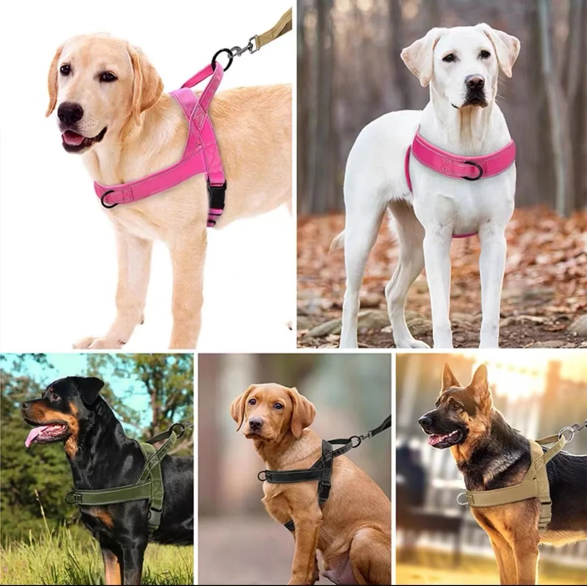 Harnais Tactique Durable pour Grand Chien - Style Gilet