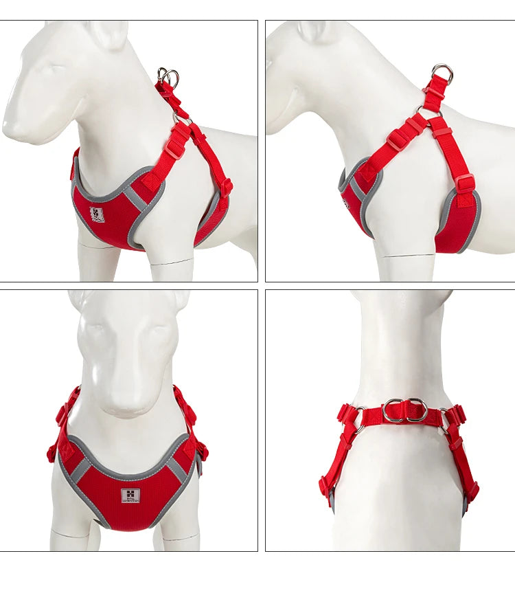 Ensemble Harnais et Laisse Réglable pour Chat et Petit Chien